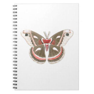 Caderno Espiral Cecropia Moth Notebook