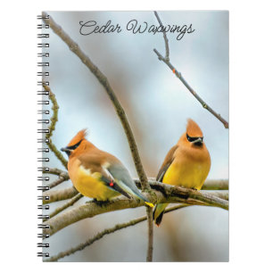 Caderno Espiral Cedar Waxwing - Foto Original