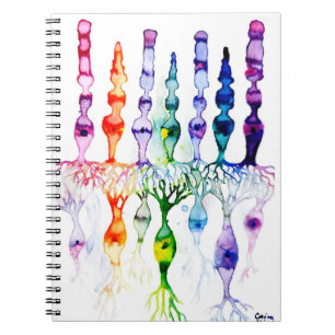 Caderno Espiral Células de cone e neurônio bipolar da retina