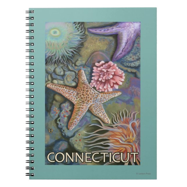 Caderno Espiral Cena ConnecticutTidepool (Frente)