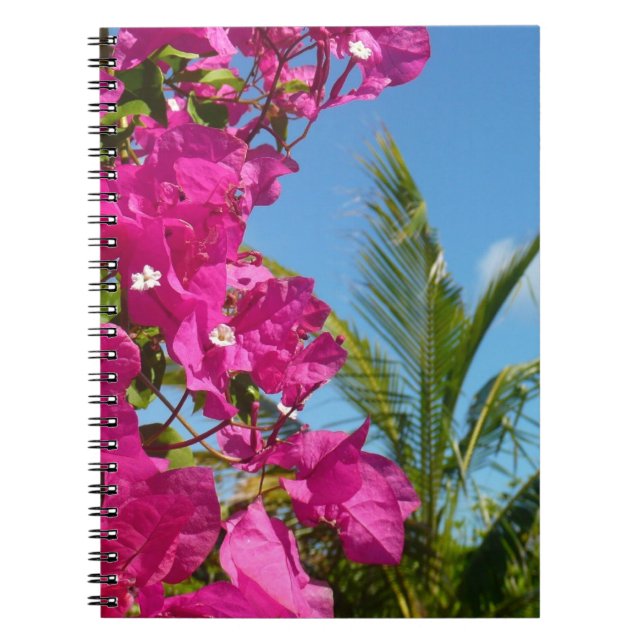 Caderno Espiral Cena da Natureza Tropical de Bougainvillea e Palm  (Frente)