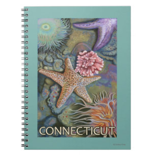 Caderno Espiral Cena de ConnecticutTidepool