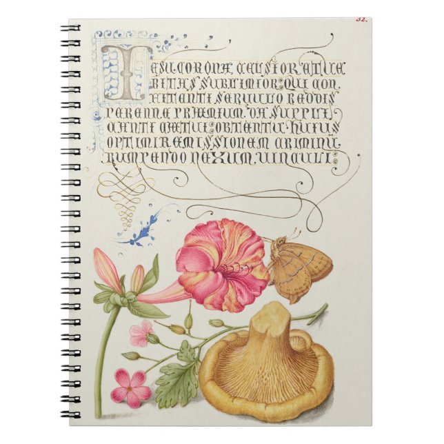 Caderno Espiral Cena de jardim com flores, borboleta e cogumelo (Frente)