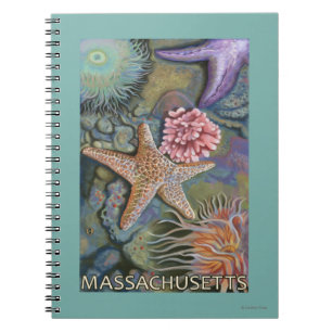 Caderno Espiral Cena de MassachusettsTidepool