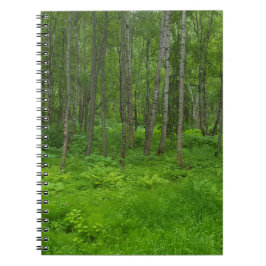 Caderno Espiral Cena de paisagem de floresta verde exuberante