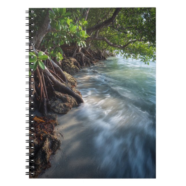 Caderno Espiral Cena Mística Mangrove Shoreline Ocean (Frente)