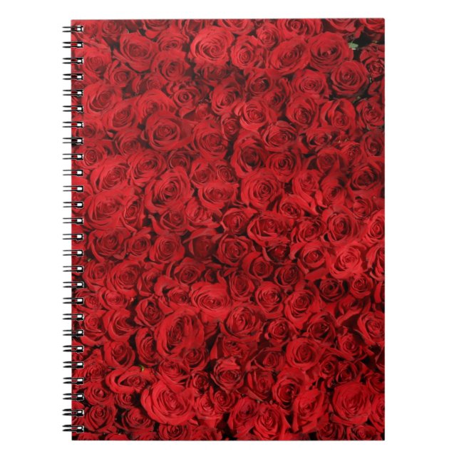 Caderno Espiral Centenas de Rosas vermelhas bonitas (Frente)