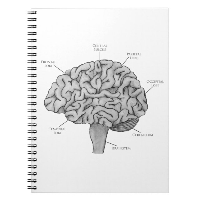 Caderno Espiral Cérebro Científico (Frente)
