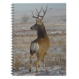 Caderno Espiral Cervo Mula Macho D20 na Neve