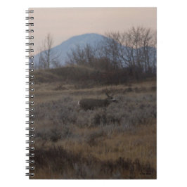Caderno Espiral Cervo Mulo D12 e Colinas de Grama Doce