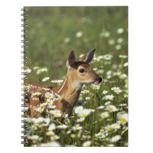 Caderno Espiral cervos Branco-atados no campo das flores