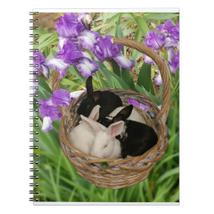 Caderno Espiral Cesto Adorável de Coelhinhos Bebês