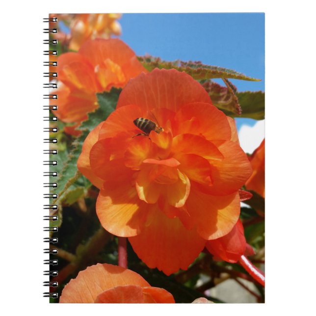 Caderno Espiral céu, flores e abelha (Frente)