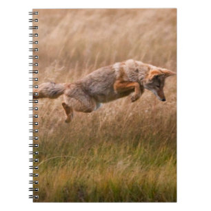 Caderno Espiral Chacal que pula - prados do Gibbon