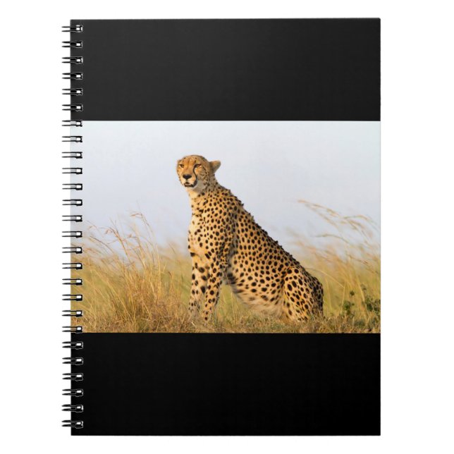 Caderno Espiral Cheetah (Frente)