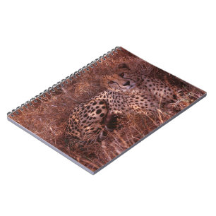 Caderno Espiral Cheetah Stare