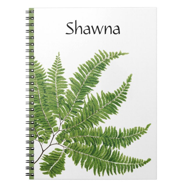 Caderno Espiral Cheio, (Frente)