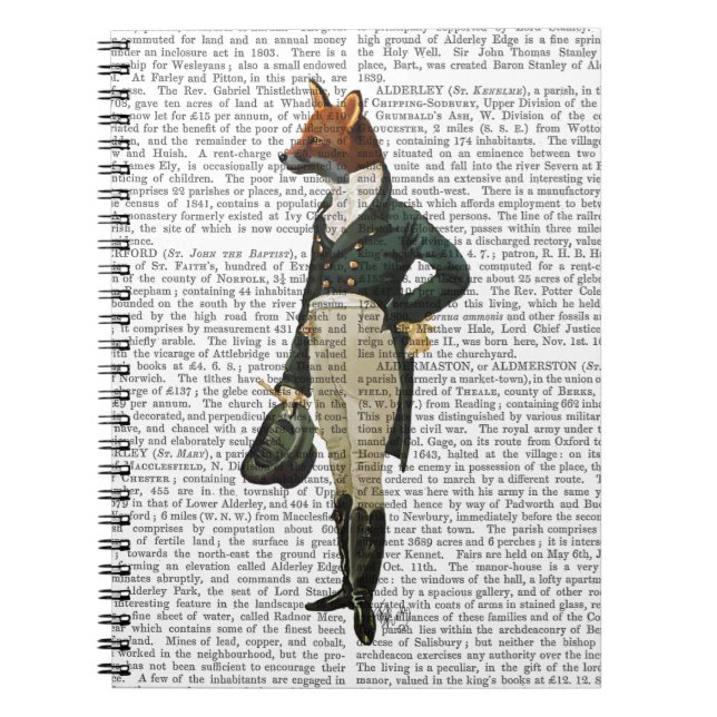 Caderno Espiral Cheio 2 da Fox Dandy (Frente)