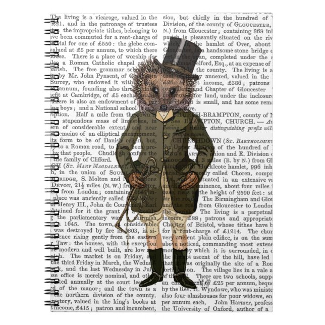 Caderno Espiral Cheio de cavaleiro Hedgehog (Frente)