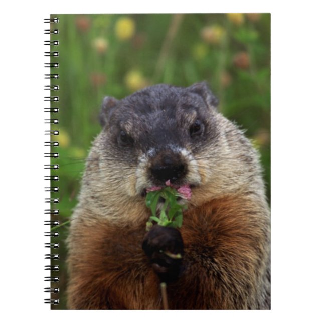 Caderno Espiral Cheirando Primavera Groundhog (Frente)
