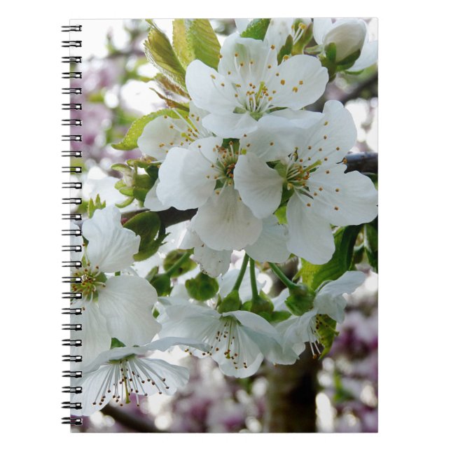 Caderno Espiral Cherry Blossom (Frente)