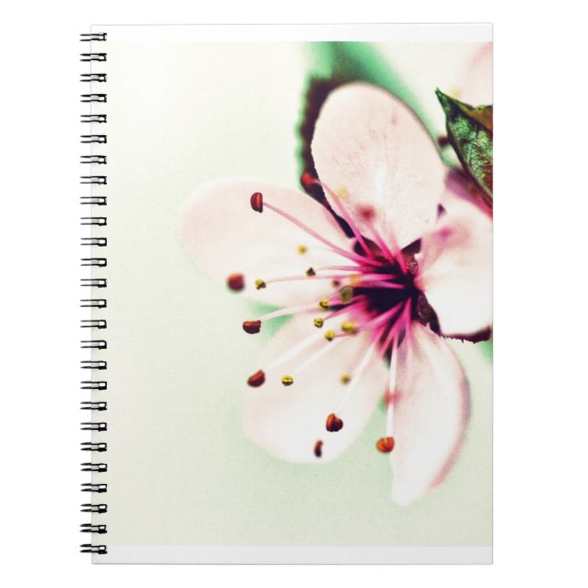 Caderno Espiral Cherry Blossom (Frente)