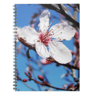 Caderno Espiral Cherry Blossom 2