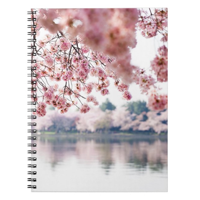 Caderno Espiral Cherry Blossoms (Frente)