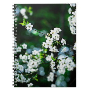 Caderno Espiral cherry-blossoms-white-01-60v.jpg