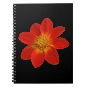 Caderno Espiral Cherub alpino (Dahlia)
