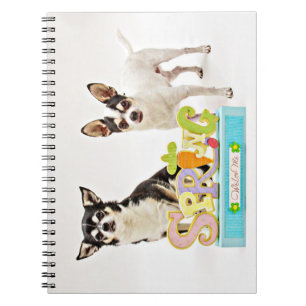 Caderno Espiral Chihuahua do primavera