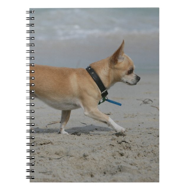 Caderno Espiral Chihuahua na praia (Frente)