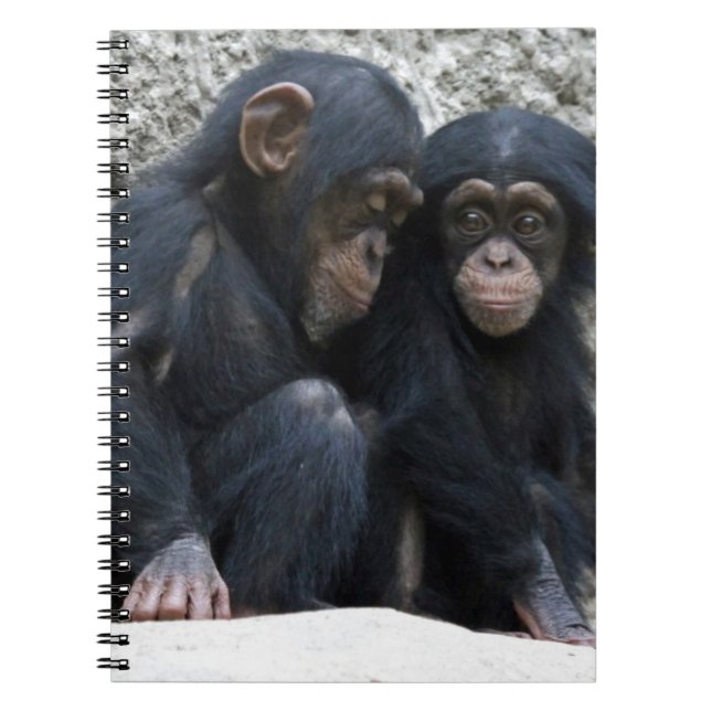 Caderno Espiral Chimpanzé002 (Frente)