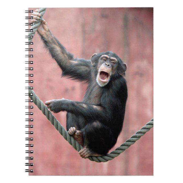 Caderno Espiral Chimpanzé 001 (Frente)