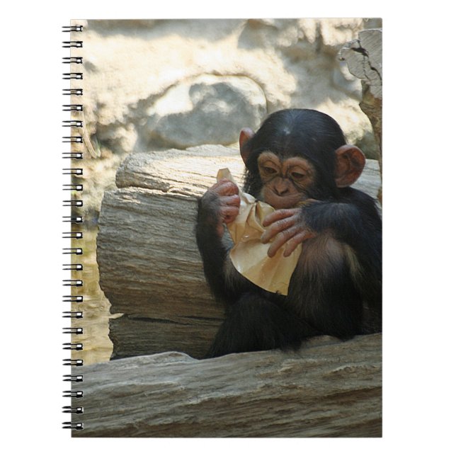 Caderno Espiral Chimpanzé_2015_0101 (Frente)