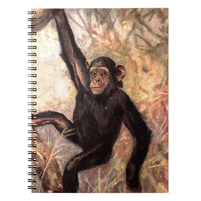 Caderno Espiral chimpanzeehangingintree002_original (Frente)