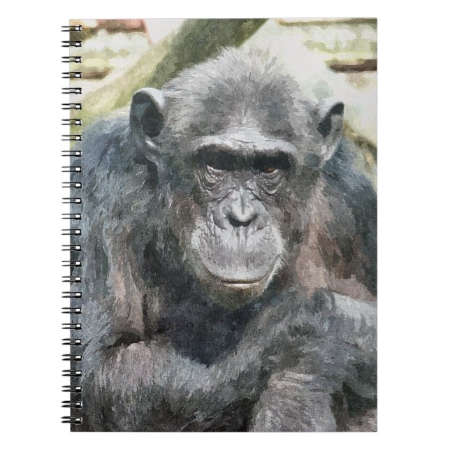 CADERNO ESPIRAL CHIMPANZÉS (Frente)