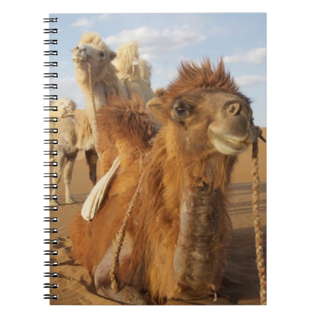 Caderno Espiral China, Mongólia Interior, Deserto Badain Jaran 2 (Frente)