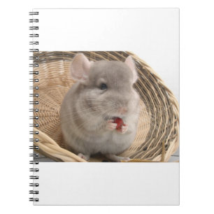 Caderno Espiral chinchila