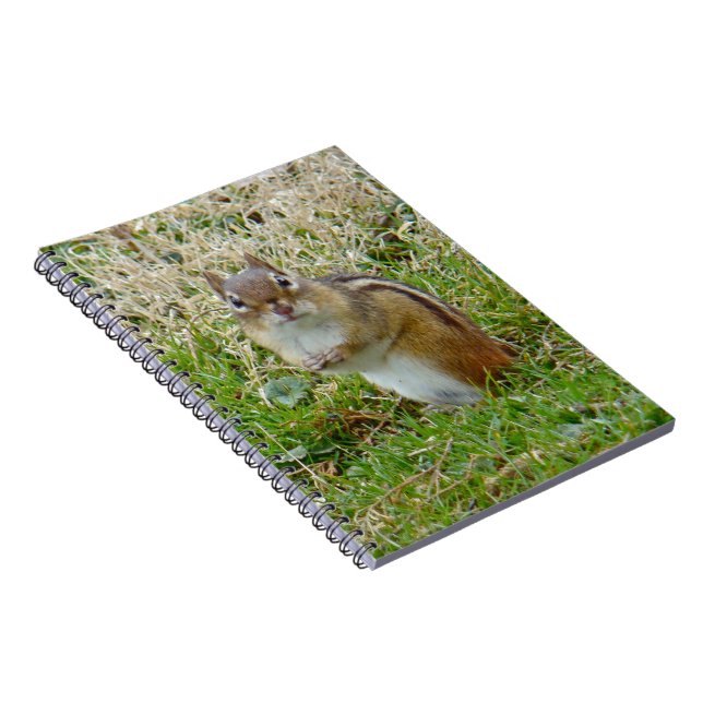 Caderno Espiral Chipset oriental (Lado Direito)
