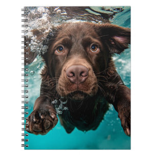 Caderno Espiral Chocolate Jogado Labrador Nadando Submarino