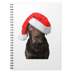 Caderno Espiral Chocolate Lab Picture Santa Hat Cachorro