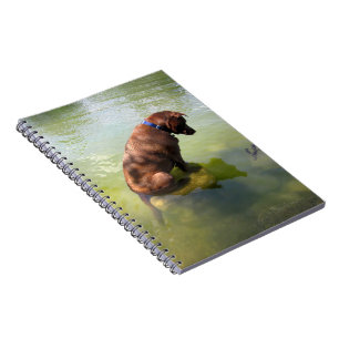 Caderno Espiral Chocolate Lab Pop Mix Dog Pesca 3