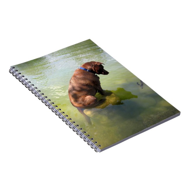 Caderno Espiral Chocolate Lab Pop Mix Dog Pesca 3 (Lado Direito)