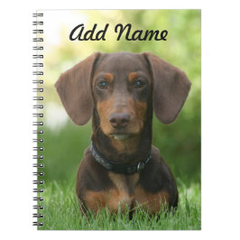 Caderno Espiral Chocolate Personalizado e Tan Dachshund - Doxie