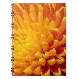 Caderno Espiral Chrysanthemum Amarelo e Laranja