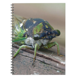 Caderno Espiral Cicada