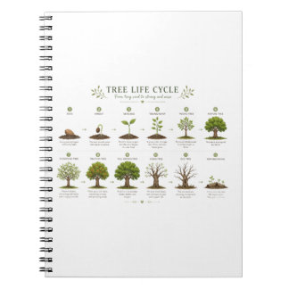 Caderno Espiral Ciclo de Vida da Árvore Botânica Educacional Natur