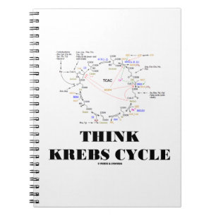 Caderno Espiral Ciclo do Ácido Cítrico do Ciclo Penso Krebs - TC