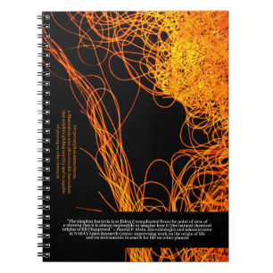 Caderno Espiral Cientistas Dizem... Clínica e Bactéria